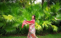 伊在人线香蕉官网电影